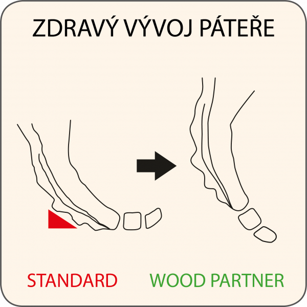 Zdravý vývoj páteře II
